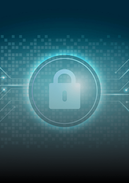 Cybersecurity Services: Take Control of Your Digital Security