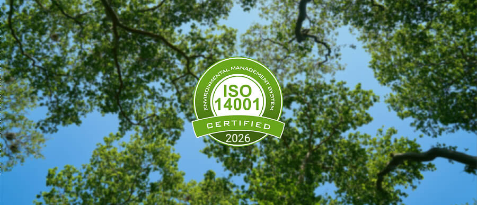 Фото - Семинар требования стандарта ISO 14001:2026. Внутренний аудитор систем экологического менеджмента